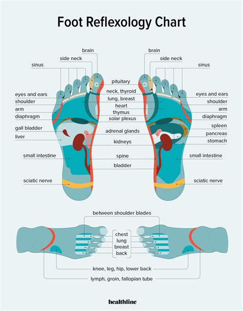 Reflexology Labeled Medial Lateral Foot Chart Holistic Poster Etsy