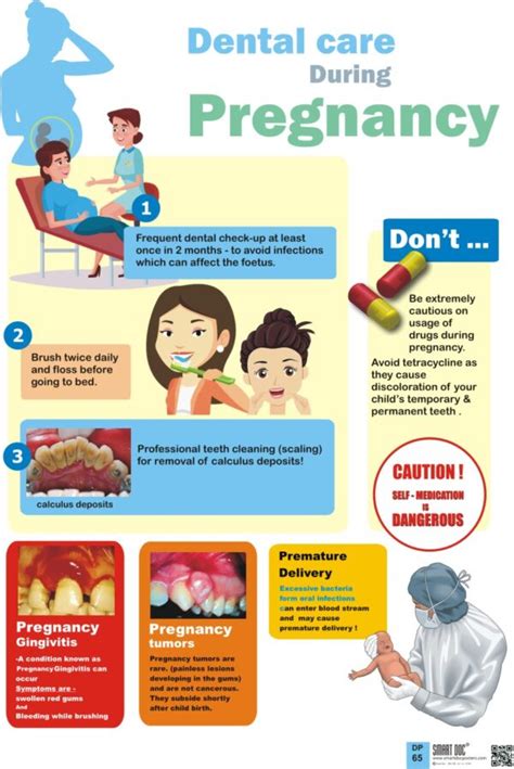 Dental Care During Pregnancy Eng Dp 65 E Smart Doc Posters