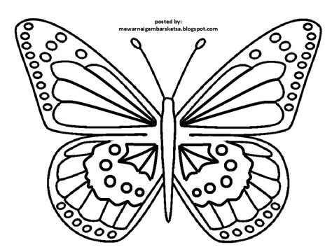 Cara menggambar kupu kupu how to draw butterfly youtube via www.youtube.com. Hasil gambar untuk gambar sketsa kupu kupu | Sketsa, Kupu-kupu, Gambar