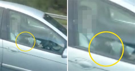 Driver Caught Receiving Blow Job From Passenger On M62 In West