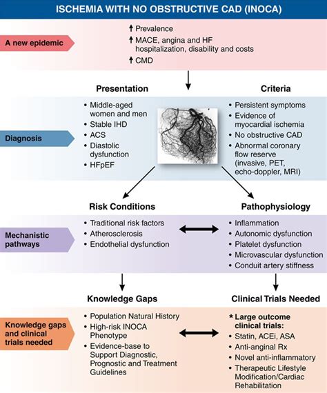 Ischemia And No Obstructive Coronary Artery Disease Inoca Circulation