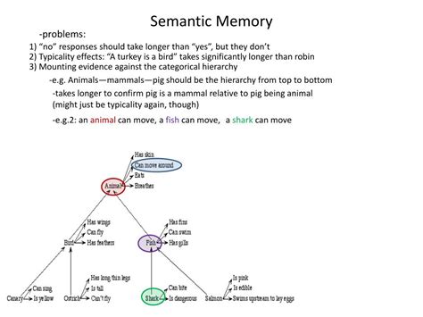 Ppt Semantic Memory Powerpoint Presentation Free Download Id2658237