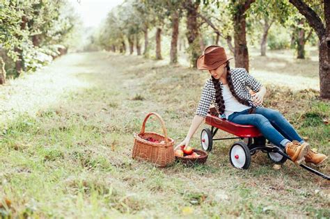 Girl With Apple In The Apple Orchard Stock Photo Image Of Happy