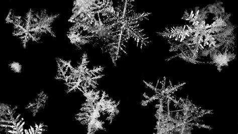 Video Water Turns Into Snowflakes 137 Cosmos And Culture Npr