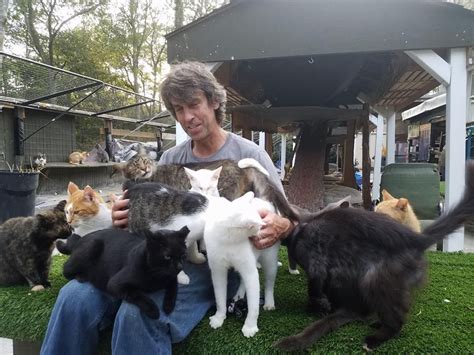 New York Man Turns His Home Into A Sanctuary For Hundreds Of Cats