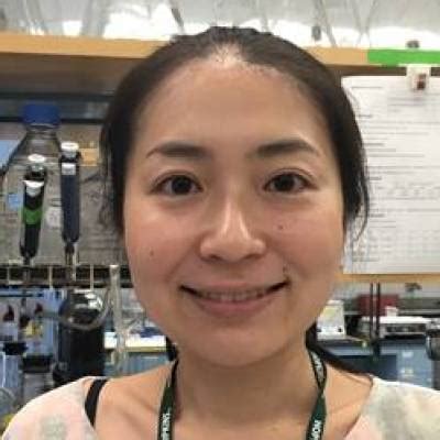 Chiaki Ishida Ph D Department Of Cell Biology At Johns Hopkins
