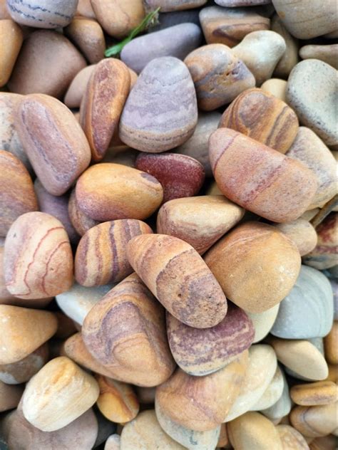Natural Stone Round Rainbow Sandstone Pebbles At Rs 8kg In Udaipur