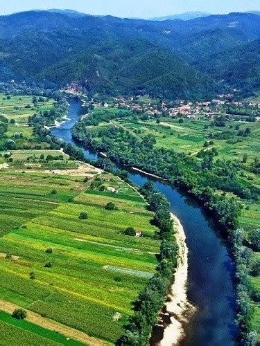 Reka Morava