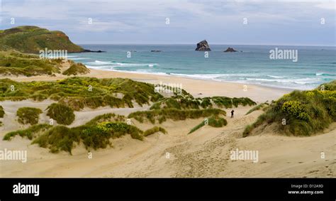 A Panoramic View Of A Woman Walking Down To Sandfly Bay On The Otago Peninsula Near Dunedin