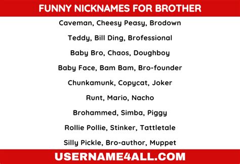 404 Best Stylish And Funny Nicknames For Brother To Call Your Bro