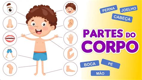 PARTES DO CORPO HUMANO Vila Educativa YouTube