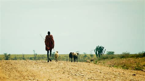 Climate change adaptation is the process of adjusting to current or expected climate change and its effects. Land Use, Climate Change Adaptation and Indigenous Peoples ...