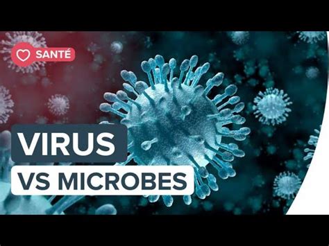 Bacterie Ou Virus 4ème Svt