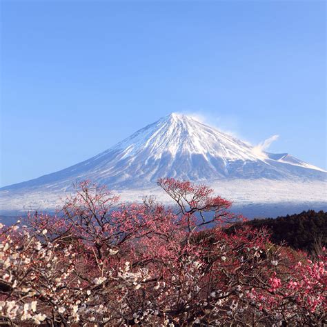 Arriba 98 Foto Monte Fuji En Primavera Y Otoño Alta Definición