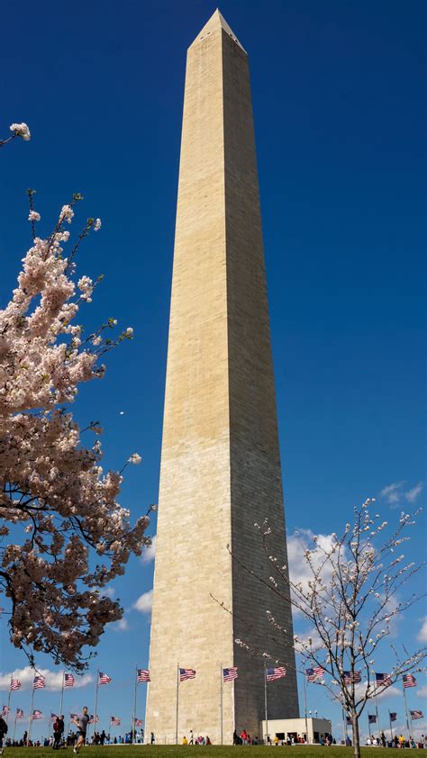 무료 이미지 기념물 봄 시각 미국 경계표 관광 여행 워싱턴 기념비 뾰족한 탑 오벨리스크 역사적인 워싱턴