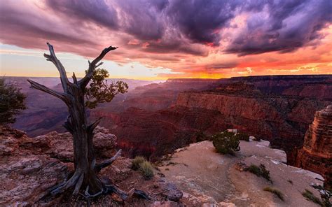 Nature Landscape Sunset Canyon Clouds Trees Grand