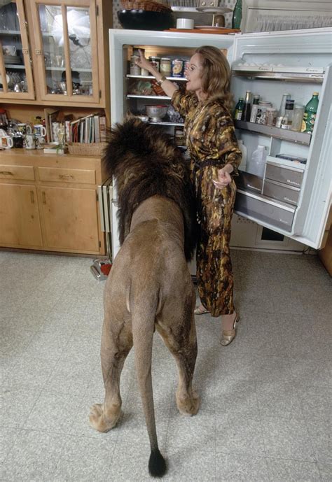Actress Tippi Hedren Had Lions Long Before Joe Exotic Demotix