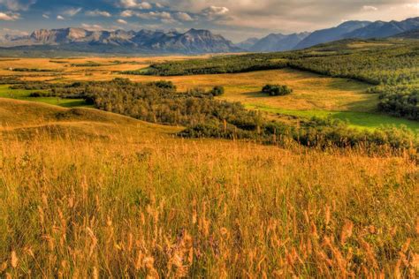 En Route To The Montana Border In Alberta Youll Witness Spectacular