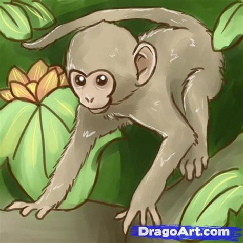 Realistic Monkey Drawing At Explore Collection Of