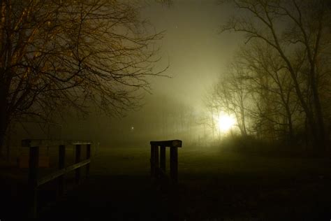 Free Images Landscape Tree Forest Silhouette Light Fog Sunrise