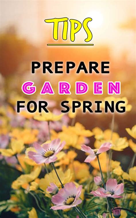 10 Tips To Prepare Garden For Spring Stylendesigns
