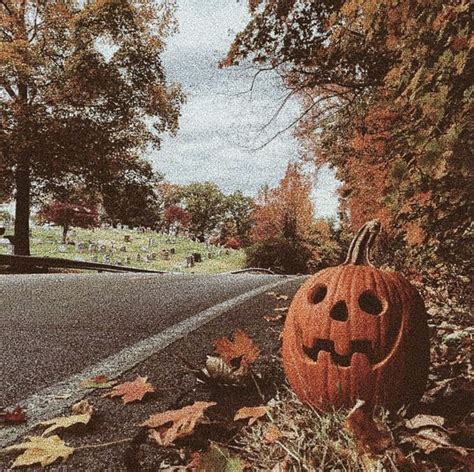 Download Celebrate Halloween With A Spooky Yet Festive Aesthetic