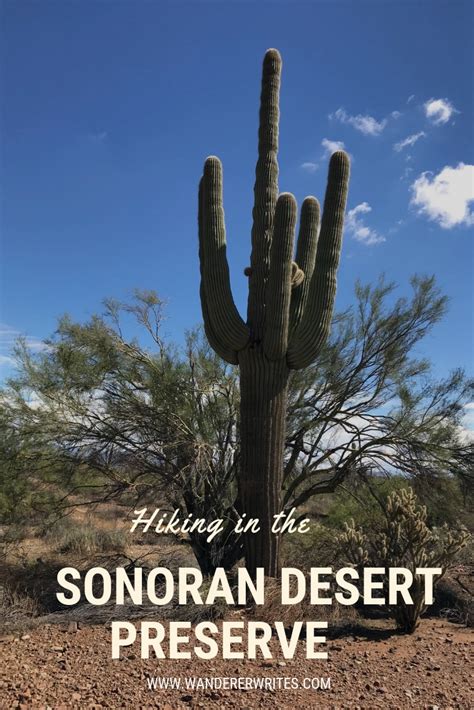 Hiking In The Sonoran Desert Preserve In Phoenix Arizona