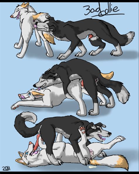Rule 34 69 Anthro Ass Up Bad Collie Canine Cunnilingus