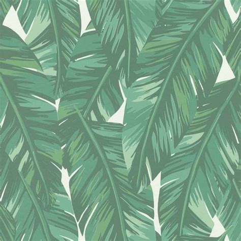 Non Woven Wallpaper Leaves Drawing Green White 139014