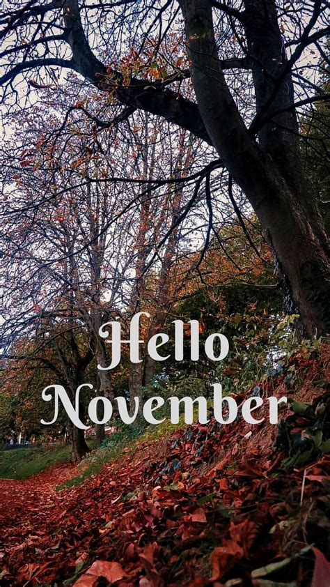 Hello November Wallpapers | November wallpaper, Hello november, November