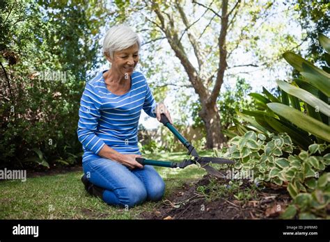 Senior Woman Kneeling While Cutting Plants With Hedge Trimmer At Backyard Stock Photo Alamy