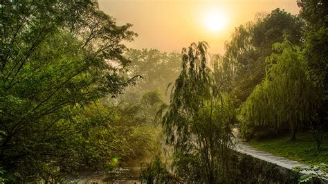 Wallpaper Sunlight Landscape Forest China Nature Reflection