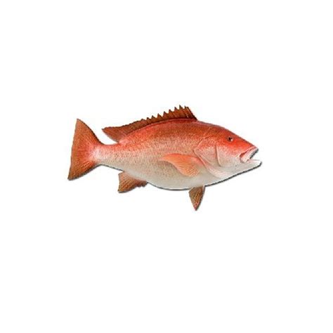 Buy Subbammal Proteins Fish Red Snapper Sankara Online At Best