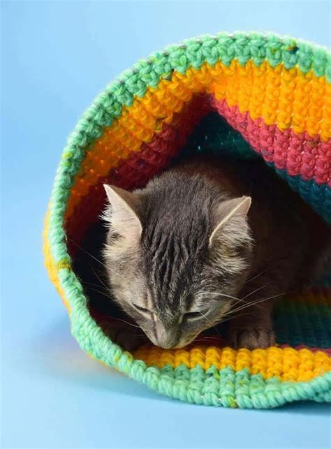 25 Most Amazing Crochet Cat Bed Patterns