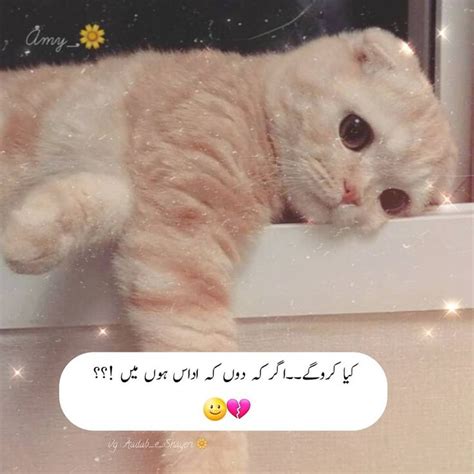 Zainab 🌻 Funny Mom Jokes Cute Funny Quotes Romantic Quotes For