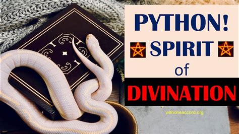 Python Spirit Of Divination Youtube