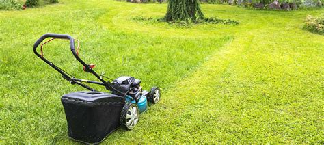I can treat that same square footage for approx.$50.00. How to Take Care of Your Lawn: Advice & Tips | Land.com
