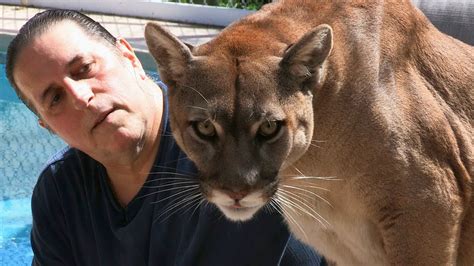 Cougar Man Living With A Mountain Lion Youtube