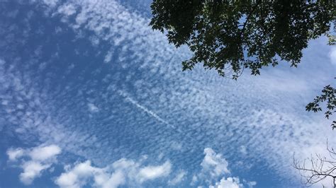 Cirrocumulus Clouds High Altitude Cloudlets Whatsthiscloud