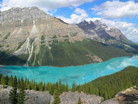 Peyto Lake A Glacier Fed Lake Located In Banff National Park In The