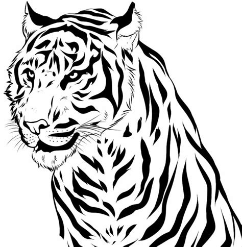 Desenhos De Grande Tigre Para Colorir E Imprimir Colorironlinecom