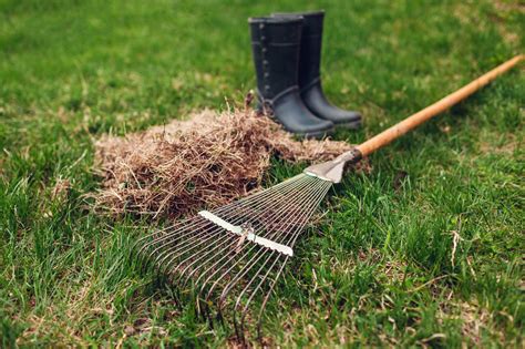 The When Why And How Of Dethatching Your Lawn