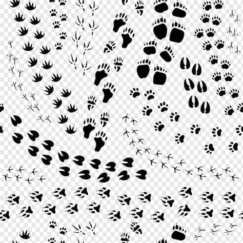Animal Footprints Svg Animal Tracks Svg Animal Paw Prints Etsy