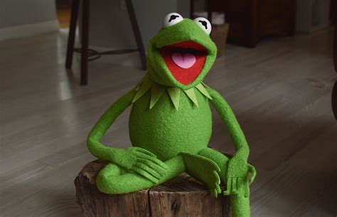 Ecls Kermit The Frog Puppet Replica Using My Newest Patterns Rpf