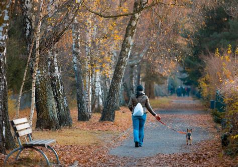 3 Health Benefits Of Spending More Time Outdoors