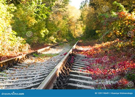 Autumn Landscape On The Railroad Stock Image Image Of Orange Sleeper