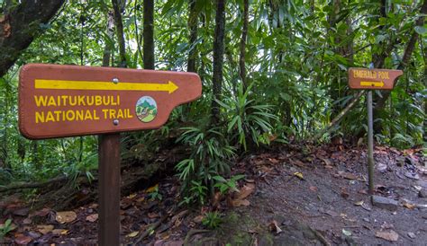 waitukubuli national trail segment 5 pont casse to castle bruce kevin s travel blog