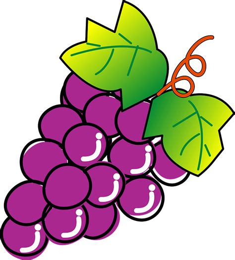 Bunch of Grapes clipart. Free download transparent .PNG ...