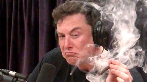 Elon Musk Smoked A Blunt On Joe Rogans Podcast Huffpost Uk Entertainment