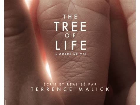 The Tree Of Life Terrence Malick Et Brad Pitt Saffichent Challenges